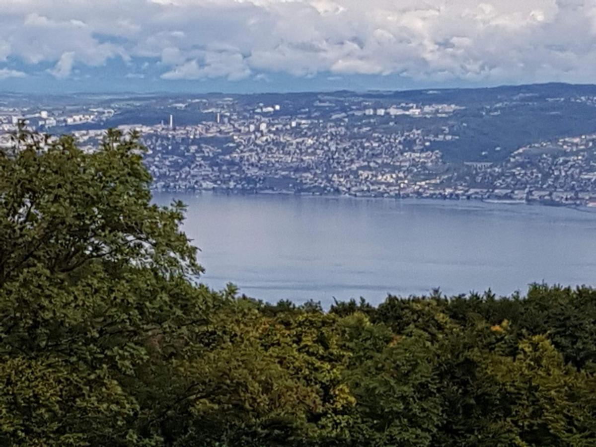 SUPERBE APPARTEMENT T2 3 ETOILES 40m2 PIED DES PISTES VUE SUR LE LAC Thollon-les-Memises Exterior foto